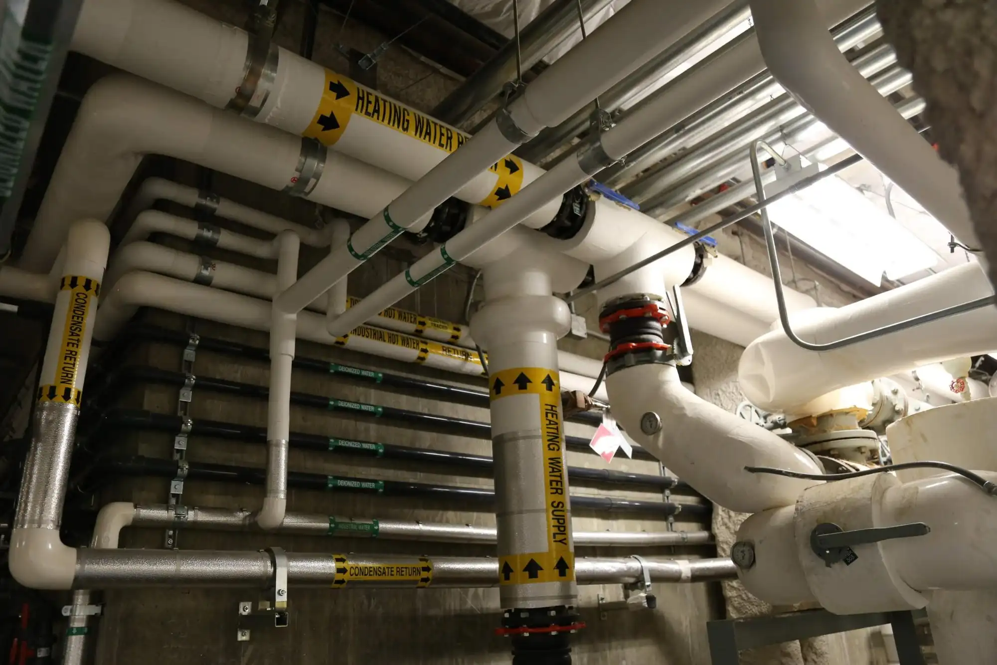 Insulated hydronic heating supply and return lines running through a mechanical room